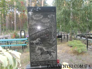Изображение 105